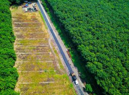 web_DJI_0538